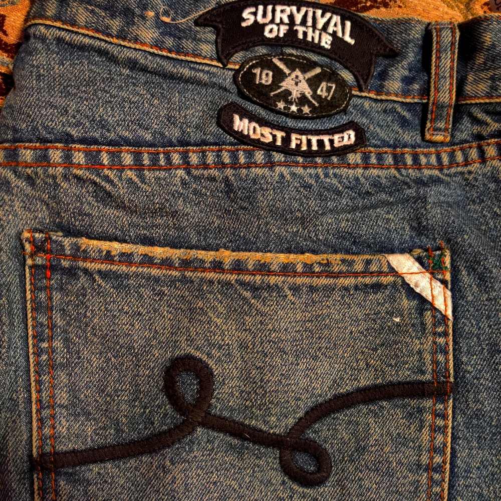Vintage lrg jeans